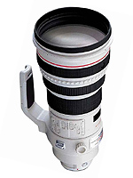 Canon EF 400 mm f/2.8L IS USM