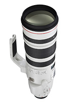 Canon EF 200-400 mm f/4 L IS USM EXT. 1.4x