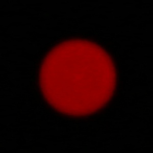 Venus Optics LAOWA 100 mm f/2.8 2X Ultra Macro APO - Chromatic and spherical aberration