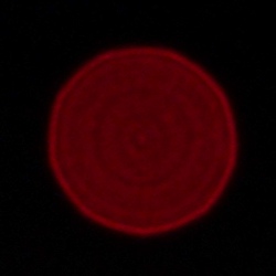 Samyang AF 24-70 mm f/2.8 FE - Chromatic and spherical aberration