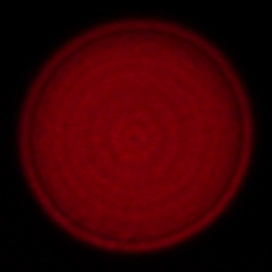 Samyang AF 24-70 mm f/2.8 FE - Chromatic and spherical aberration