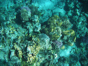 Underwater cameras test 2010  - Fujifilm FinePix XP10