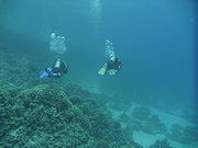 Underwater cameras test 2010  - Panasonic Lumix DMC-FT2