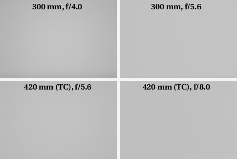 Canon EF 300 mm f/4L IS USM - Vignetting