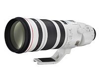 Lens Canon EF 200-400 mm f/4 L IS USM EXT. 1.4x