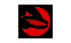 Polarizing filters test