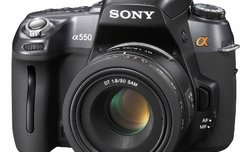 Sony Alpha A550 - sample images Sony Alpha A550 - sample images