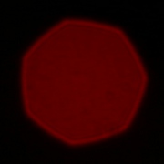 Yongnuo YN 35 mm f/2.0 - Coma, astigmatism and bokeh