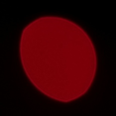 Fujifilm Fujinon XF 90 mm f/2 R LM WR - Coma, astigmatism and bokeh