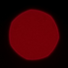 Fujifilm Fujinon XF 90 mm f/2 R LM WR - Coma, astigmatism and bokeh