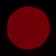 Fujifilm Fujinon XF 90 mm f/2 R LM WR - Coma, astigmatism and bokeh