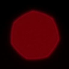 Fujifilm Fujinon XF 90 mm f/2 R LM WR - Coma, astigmatism and bokeh