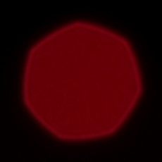 Fujifilm Fujinon XF 90 mm f/2 R LM WR - Coma, astigmatism and bokeh