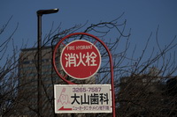 Fujinon XF 100-400 mm f/4.5-5.6 R LM OIS - sample images