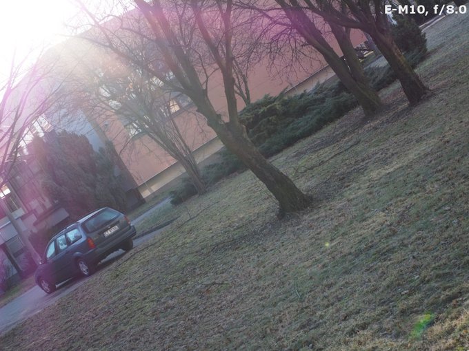 Panasonic G Macro 30 mm f/2.8 ASPH. MEGA O.I.S. - Ghosting and flares