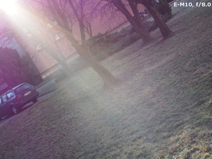 Panasonic G Macro 30 mm f/2.8 ASPH. MEGA O.I.S. - Ghosting and flares