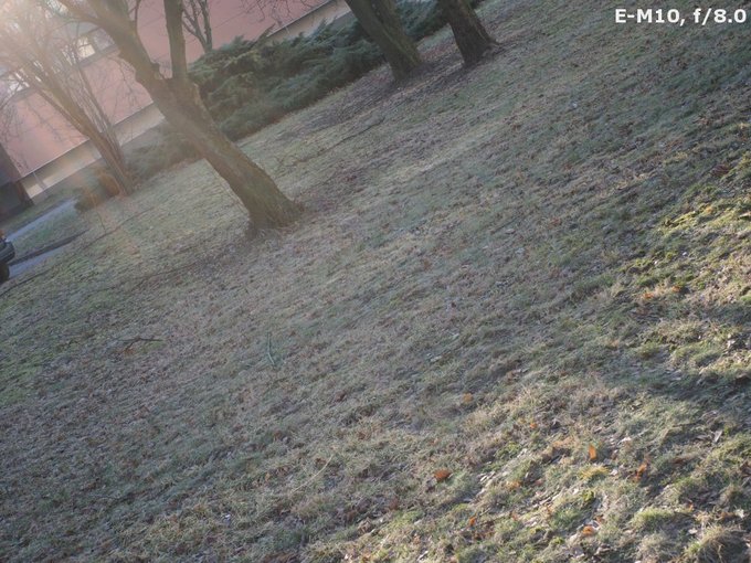 Panasonic G Macro 30 mm f/2.8 ASPH. MEGA O.I.S. - Ghosting and flares