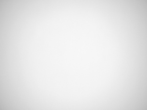 Panasonic G Macro 30 mm f/2.8 ASPH. MEGA O.I.S. - Vignetting