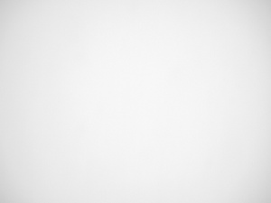 Panasonic G Macro 30 mm f/2.8 ASPH. MEGA O.I.S. - Vignetting