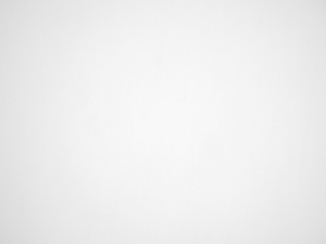 Panasonic G Macro 30 mm f/2.8 ASPH. MEGA O.I.S. - Vignetting