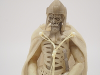 Panasonic G Macro 30 mm f/2.8 ASPH. MEGA O.I.S. - Sample shots