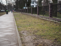 Panasonic G Macro 30 mm f/2.8 ASPH. MEGA O.I.S. - Sample shots