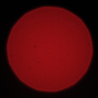 Venus Optics LAOWA STF 105 mm f/2 (T3.2) - Coma, astigmatism and bokeh