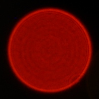 Tokina Frin 20 mm f/2 FE MF - Coma, astigmatism and bokeh