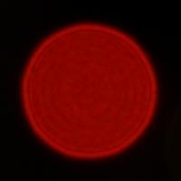 Tokina Frin 20 mm f/2 FE MF - Coma, astigmatism and bokeh