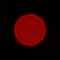 Tokina Frin 20 mm f/2 FE MF - Coma, astigmatism and bokeh