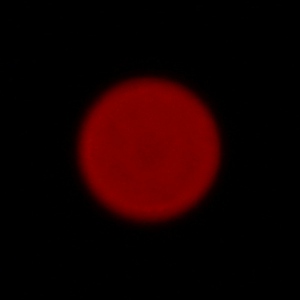 Samyang AF 35 mm f/2.8 FE - Chromatic and spherical aberration