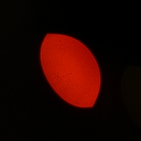 Mitakon Speedmaster 50 mm f/0.95 - Coma, astigmatism and bokeh