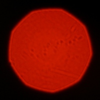 Mitakon Speedmaster 50 mm f/0.95 - Coma, astigmatism and bokeh