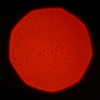 Mitakon Speedmaster 50 mm f/0.95 - Coma, astigmatism and bokeh