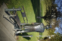 Mitakon Speedmaster 50 mm f/0.95 - Sample shots