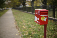 Mitakon Speedmaster 50 mm f/0.95 - Sample shots