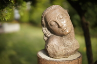 Mitakon Speedmaster 50 mm f/0.95 - Sample shots