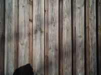 Kowa Prominar MFT 8.5 mm f/2.8 T3.0 - sample images Kowa Prominar MFT 8.5 mm f/2.8 T3.0 - sample images