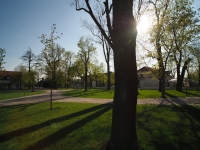 Kowa Prominar MFT 8.5 mm f/2.8 T3.0 - sample images Kowa Prominar MFT 8.5 mm f/2.8 T3.0 - sample images