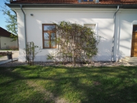 Kowa Prominar MFT 8.5 mm f/2.8 T3.0 - sample images Kowa Prominar MFT 8.5 mm f/2.8 T3.0 - sample images