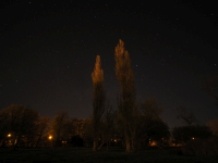 Kowa Prominar MFT 8.5 mm f/2.8 T3.0 - sample images Kowa Prominar MFT 8.5 mm f/2.8 T3.0 - sample images