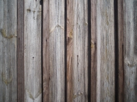 Kowa Prominar MFT 12 mm f/1.8 T1.9 - sample images Kowa Prominar MFT 12 mm f/1.8 T1.9 - sample images