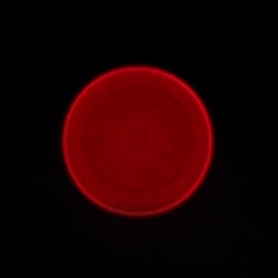 Olympus M.Zuiko Digital ED 17 mm f/1.2 PRO - Chromatic and spherical aberration