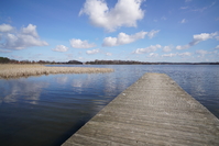 Viltrox PFU RBMH 20 mm f/1.8 ASPH - Sample shots