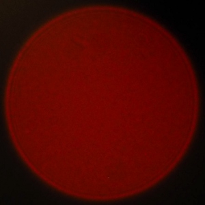 Venus Optics LAOWA 17 mm f/1.8 MFT II - Coma, astigmatism and bokeh
