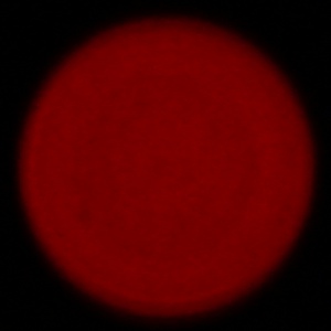 Samyang AF 45 mm f/1.8 FE - Chromatic and spherical aberration