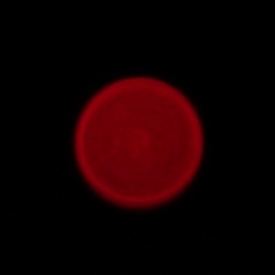 Samyang AF 35 mm f/1.8 FE - Chromatic and spherical aberration