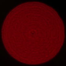 Voigtlander Apo Lanthar 35 mm f/2 Aspherical  - Coma, astigmatism and bokeh