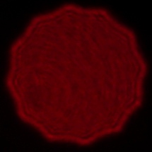 Voigtlander Apo Lanthar 35 mm f/2 Aspherical  - Coma, astigmatism and bokeh