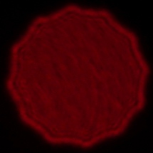 Voigtlander Apo Lanthar 35 mm f/2 Aspherical  - Coma, astigmatism and bokeh